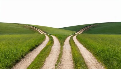 two diverging countryside paths in a green field leading into the distance isolated transparent cutout