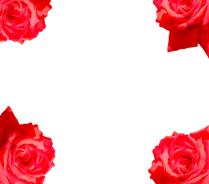 Blumenrahmen Rahmen Rote Rosen