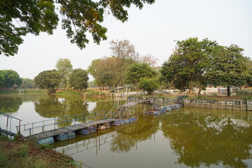 green park in lake