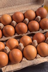 Close-up of brown chicken eggs arranged neatly in a recycled paper egg carton under natural daylight