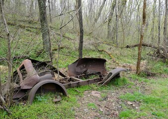 The Rusting Ruins of an Old, Abandoned Car Sinking into the Ground in the Midst of a Dense, Misty Forest