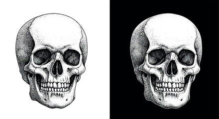 Skull art design in black and white for prints and posters. Vector illustration