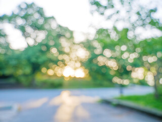 soft focus city park at morning, trees background with blurred bokeh and sun rays