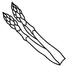 vector illustration of a branch