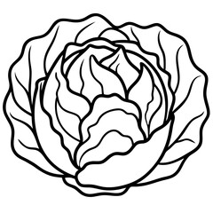 vector illustration of a rose