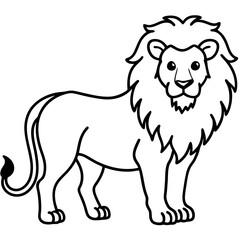 lion vector illustration