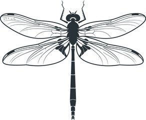dragonfly vector illustration