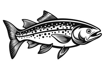 Detailed Black and White Illustration of a Spotted Trout Fish with Fins