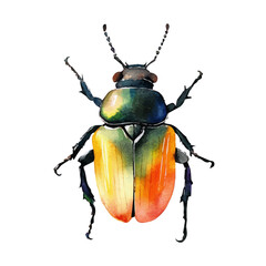 My Watercolor illustration, beetle painting illustration isolated on a white background, illustration, AI painting design, vector illustration set, eps format