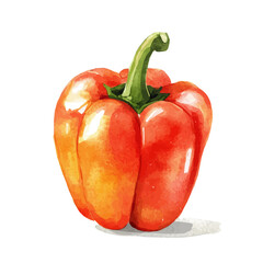 My Watercolor illustration, orange bell pepper painting illustration isolated on a white background, illustration, AI painting design, vector illustration set, eps format