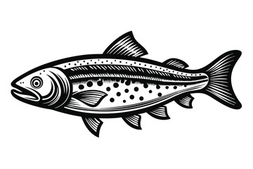 Detailed Black and White Illustration of a Spotted Trout Fish Swimming Sideways
