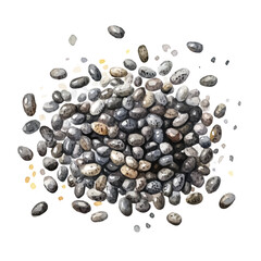 My Watercolor illustration, illustration chia seeds painting isolated on a white background, illustration, AI painting design, vector illustration set, eps format