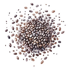 My Watercolor illustration, illustration chia seeds painting isolated on a white background, illustration, AI painting design, vector illustration set, eps format