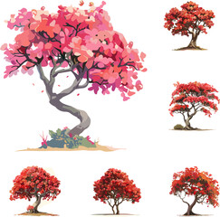 set of flamboyant trees isolated on white background