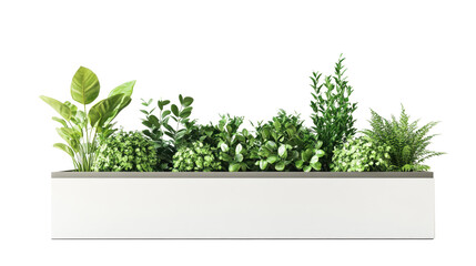 wooden box with green grass isolated on white background. 