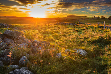 Evening landscape on the Aubrac mountains.
Field and hills on a beautiful spring evening in central...