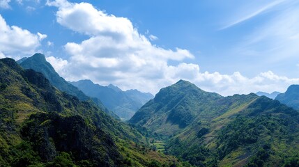 Naklejka premium The panoramic view of lush hills in the distance, dotted with dense forests and rolling hills, and the tranquil natural landscape under the soft sunlight make for a sense of serenity and awe.