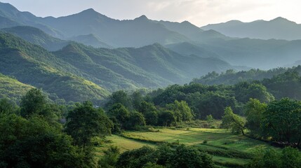 Naklejka premium The panoramic view of lush hills in the distance, dotted with dense forests and rolling hills, and the tranquil natural landscape under the soft sunlight make for a sense of serenity and awe.