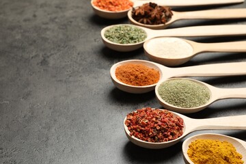 Many different spices in spoons on grey table, closeup. Space for text
