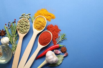Different aromatic spices in spoons on blue background, flat lay. Space for text