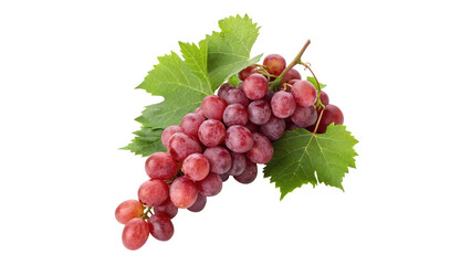 Red grape cluster with vibrant fresh leaves  isolated on transparent background  
