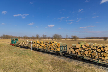 Small train transporting cut timber logs in open wagons on a sunny day