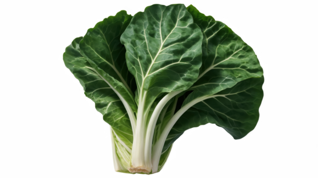 cabbage isolated on white background, transparent background, PNG background, isolated on transparent, alpha channel, cut out, no background, backgroundless, isolated object