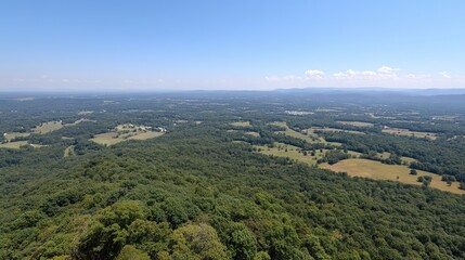 Obraz premium Wide aerial view of entire forest and green fields, vibrant green trees against blue sky, serene yet lively landscape capturing pure natural beauty.