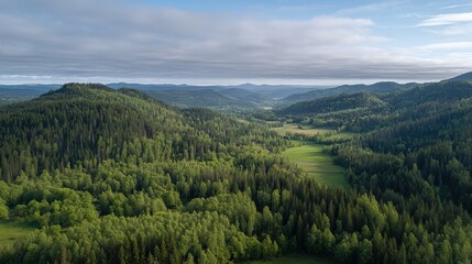 Fototapeta premium Wide aerial view of entire forest and green fields, vibrant green trees against blue sky, serene yet lively landscape capturing pure natural beauty.