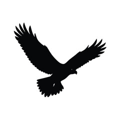 Martial Eagle Soaring Vector Silhouette
