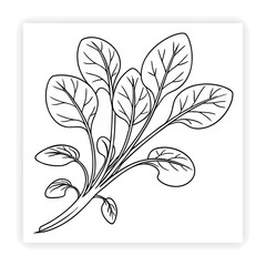 Eco and Nature Doodle Set