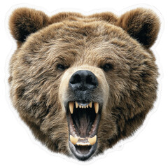 Obraz premium Aggressive Grizzly Bear Head, Close-up Portrait