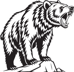 brown bear vector illustration