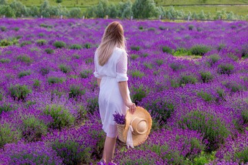 Beautiful woman in a white dress in a lavender field.