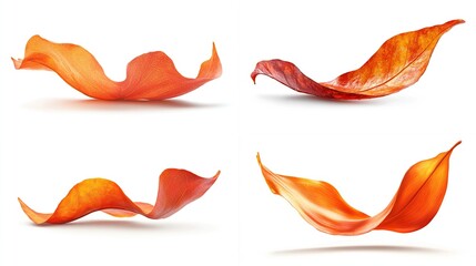 Obraz premium Four vibrant autumn leaves, rendered in a dynamic, flowing pose, against a pure white background