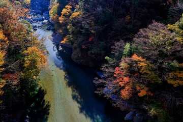 紅葉の祖谷川