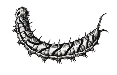 Spiny Caterpillar – Detailed Black and White Vector Illustration