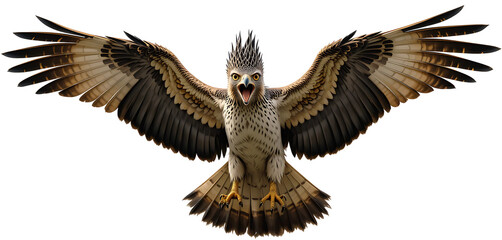Javan Hawk-Eagle flying fiercely, crest raised, wings wide.
Tropical style realism, transparent background, clean focus.