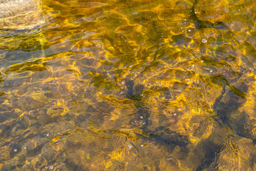 Yellow water surface and ripples