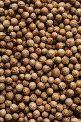 Coriander seeds.