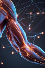 A high-tech futuristic design showing muscle fibers as glowing network nodes interconnected in a digital almost circuit-like pattern. The fibers pulse with electric light set against a dark...