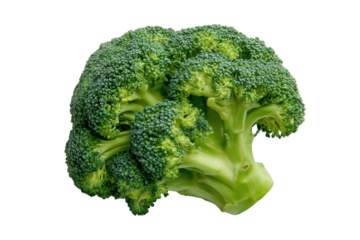 Close-up of a head of fresh broccoli.