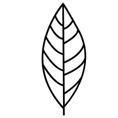 leaf vector icon