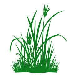 grass, nature, plant,leaf,ambush isolated vector 
