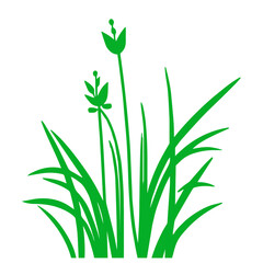 grass, nature, plant,leaf,ambush isolated vector 