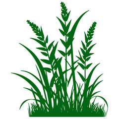 Obraz premium grass, nature, plant,leaf,ambush isolated vector 