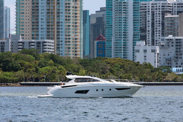 Fototapeta premium luxury yachts in the bay with Miami in the background