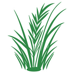 grass, nature, plant,leaf,ambush isolated vector 