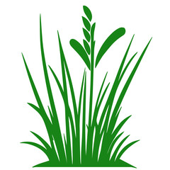 grass, nature, plant,leaf,ambush isolated vector 