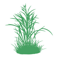 grass, nature, plant,leaf,ambush isolated vector 